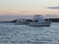 Boats at Peel Island